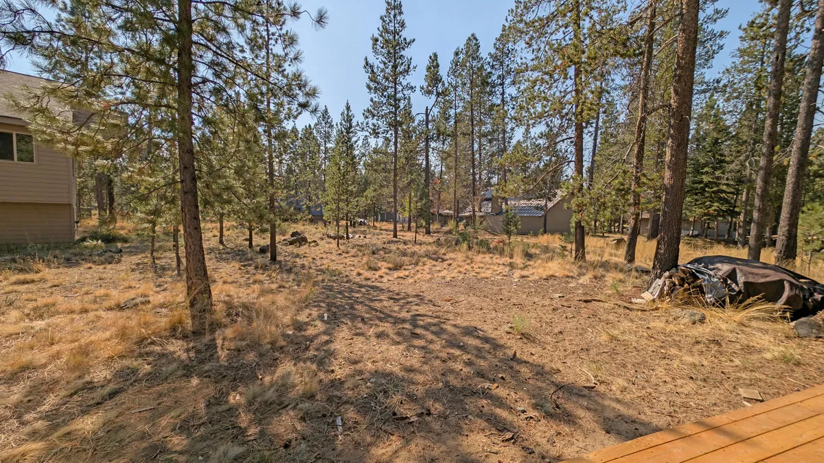 An open grassy area dotted with tall pine trees and neighboring structures in the background. The expansive view of the natural landscape hints at opportunities for sunset watching, stargazing, and tranquil walks.